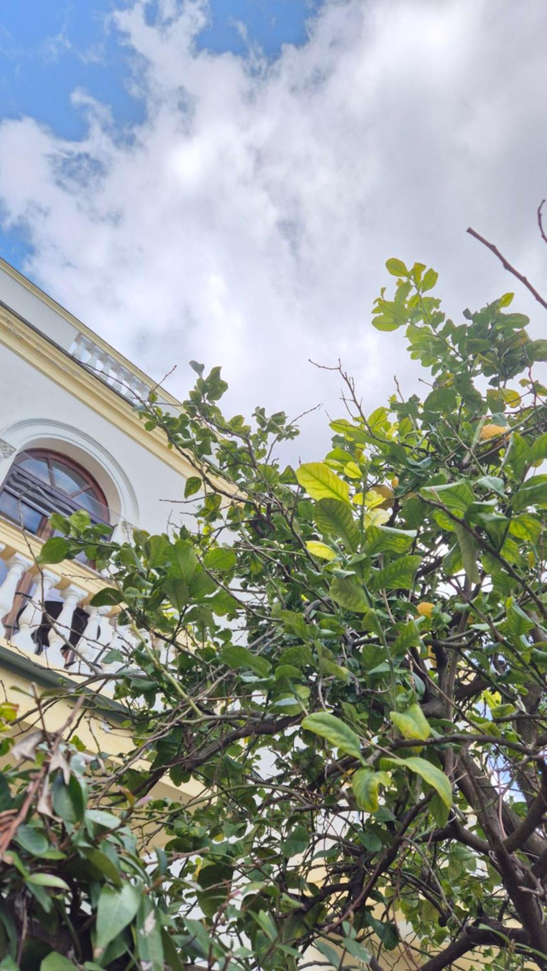 Relais Villa Montedonzelli Napoli Dış mekan fotoğraf